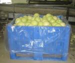 Blue Perforated Dolavs Keep White Cabbage Clean